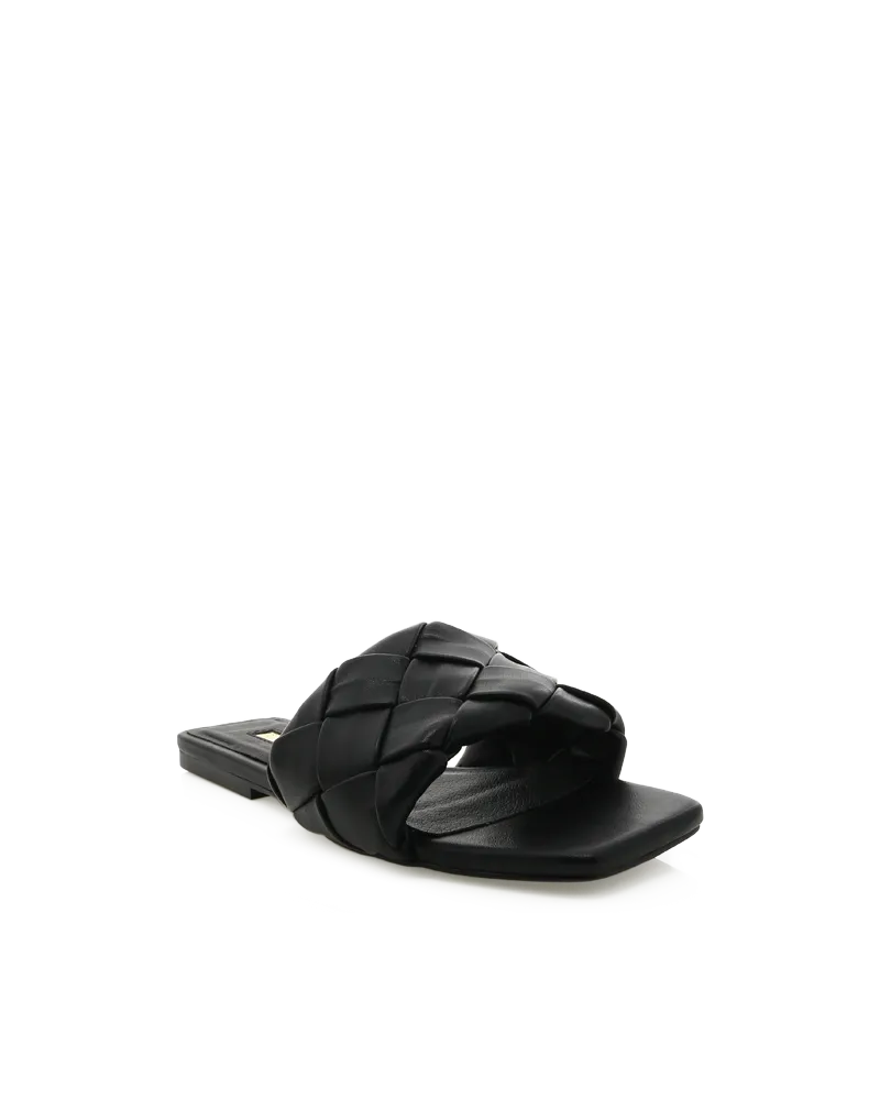 Billini Felix Flats