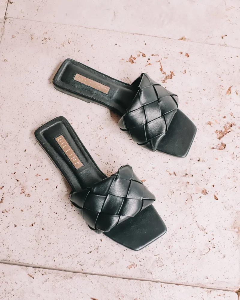 Billini Felix Flats