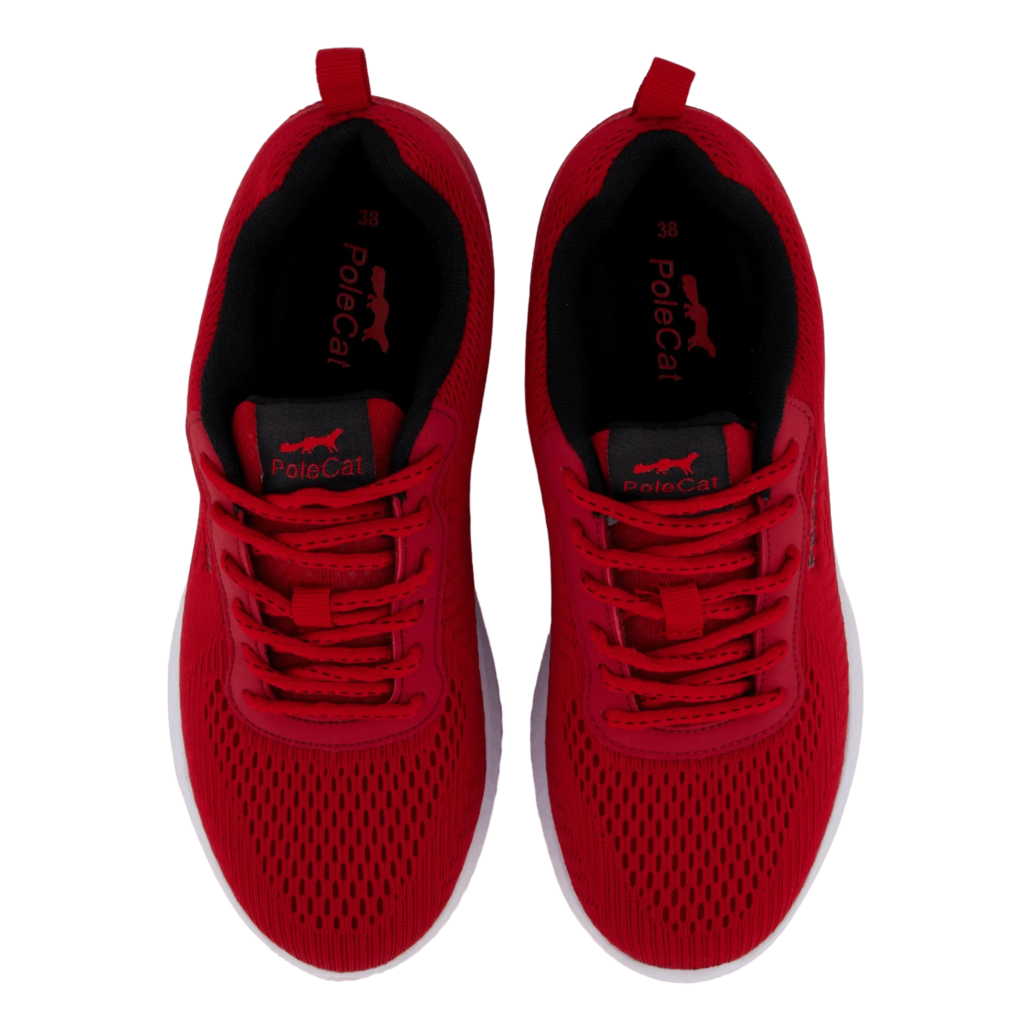 Credo Iowa Red