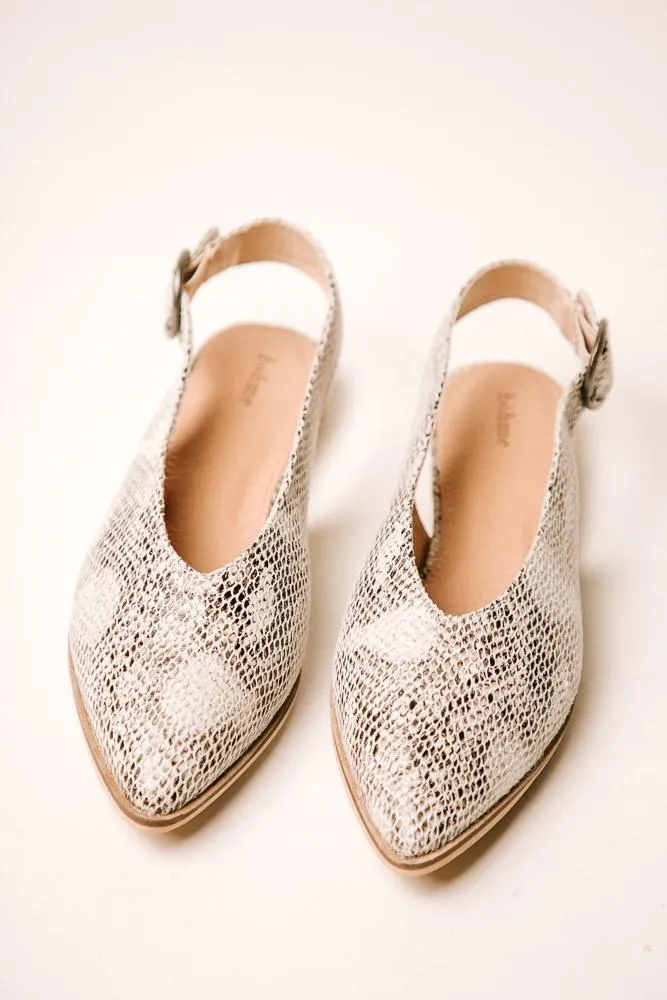 Delta Pointed Flats in Snake Print - FINAL SALE