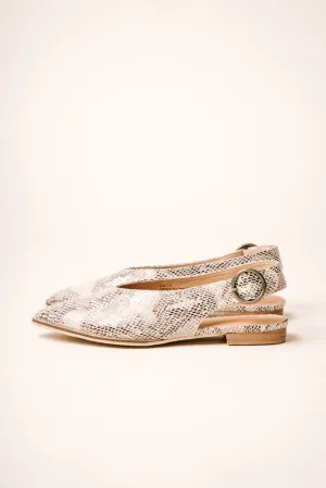 Delta Pointed Flats in Snake Print - FINAL SALE