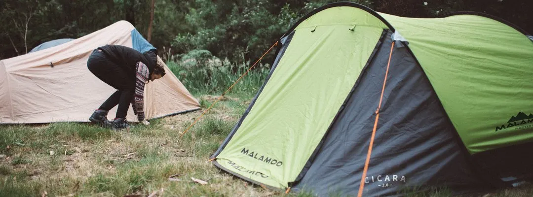 Malamoo Cicara 2.0 - DISCONTINUED
