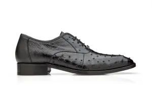 Orlando - Black by Belvedere